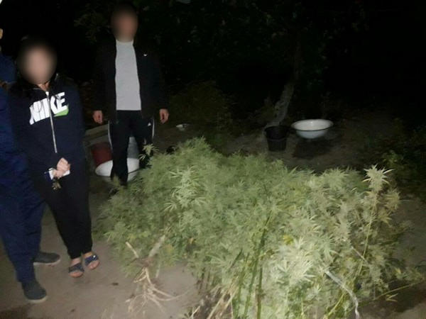 В Селидово прохожие «сдали» в полицию наркоагрария