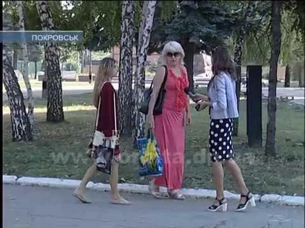 Центр Покровска заполонили стаи бродячих собак