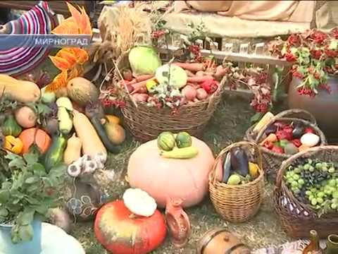 В Мирнограде прошла традиционная осенняя ярмарка