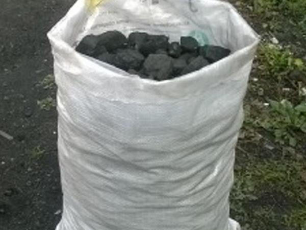«Криминальное трио» из Горняка занималось кражей угля в Кураховке