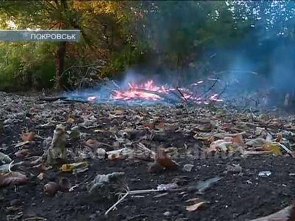 В Покровске отлавливают горожан, которые сжигают листья в кострах