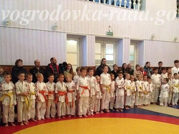 В Новогродовке прошел Кубок по Косике каратэ