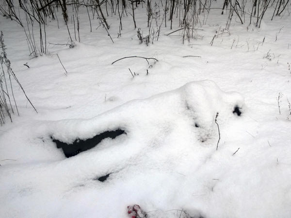 В Покровском районе под снегом обнаружили труп мужчины