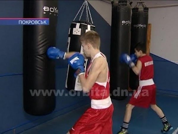 Покровские боксеры завоевали на чемпионате Украины «золото» и «бронзу»
