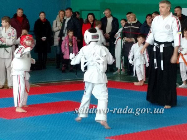 В Селидово прошел Чемпионат Донецкой области по косики-каратэ