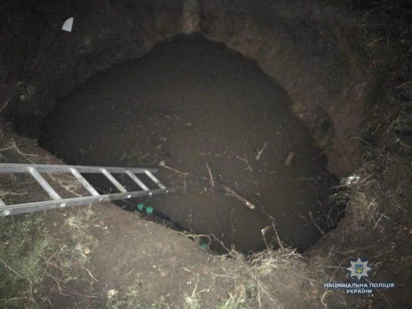 В Мирнограде пропавшую 5-летнюю девочку нашли мертвой в яме с водой