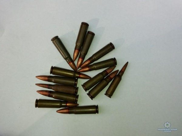 Житель Горняка нашел в лесополосе боеприпасы