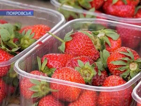 Сколько стоит клубника на рынках Покровска