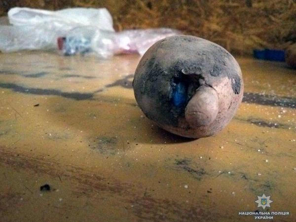 Жителю Покровска за одну картофелину грозит 10 лет тюрьмы