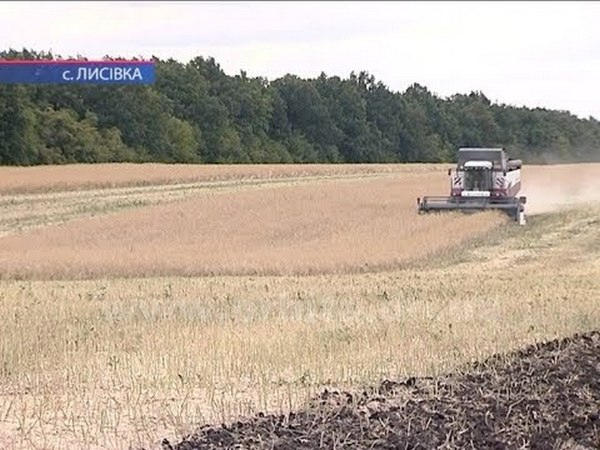 В Покровском районе началась жатва: каковы прогнозы аграриев?