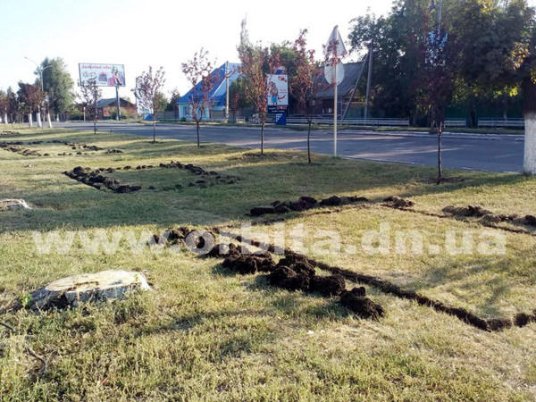В Покровске разбивают новые клумбы с розами