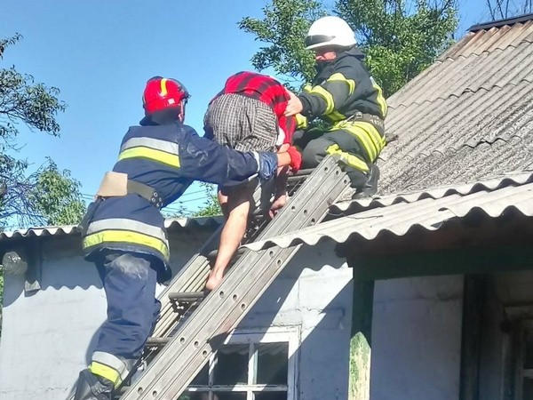 Жителю Новогродовки, чтобы слезть с крыши дома, пришлось вызывать спасателей