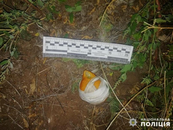 В Селидовскую исправительную колонию пытались перебросить лимон с необычной «начинкой»