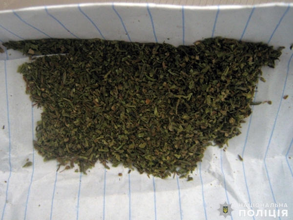 В Мирнограде нарколюбителя со стажем лишили кайфа