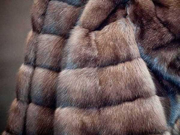 Жительница Покровска из-за мечты о шубе лишилась денег