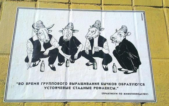 В Донецке расклеили листовки, в которых парней сравнивают с быками, а девушек с курицами (фото)