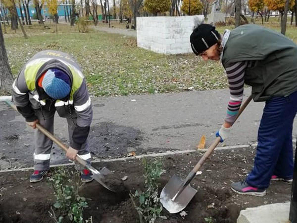 Улицы Покровска украшают новыми цветочными клумбами