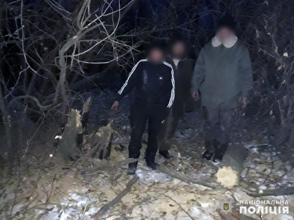 В Покровском районе «на горячем» задержали «черного лесоруба»