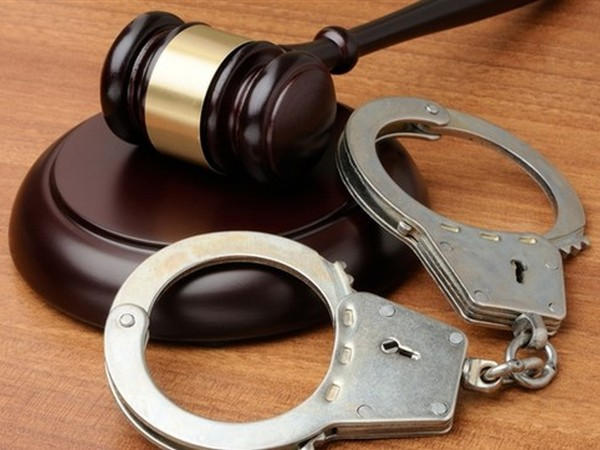 Владельца покровского приюта для животных суд отправил под стражу на два месяца