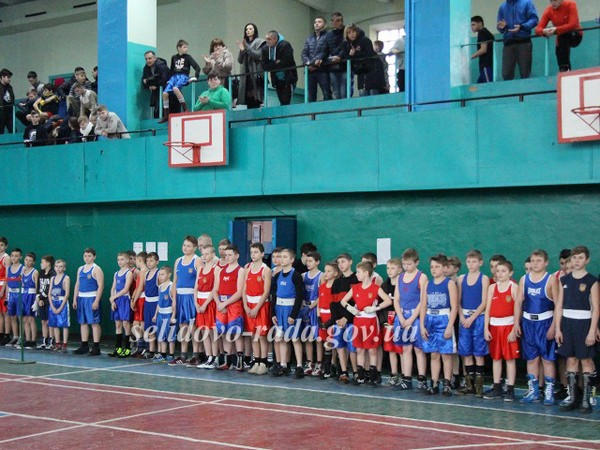 В Селидово торжественно открыли два боксерских турнира