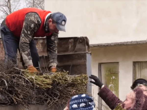 Жителям Покровска бесплатно раздают саженцы деревьев и роз