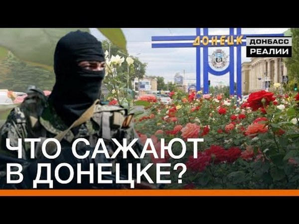 Что сажают в оккупированном Донецке