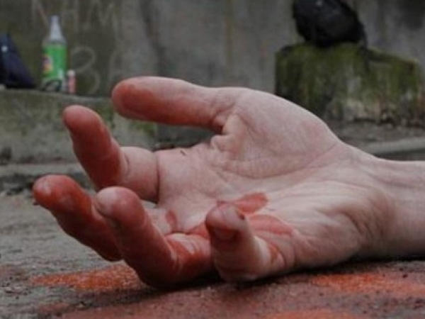 Жителя Мирнограда забили до смерти в его день рождения