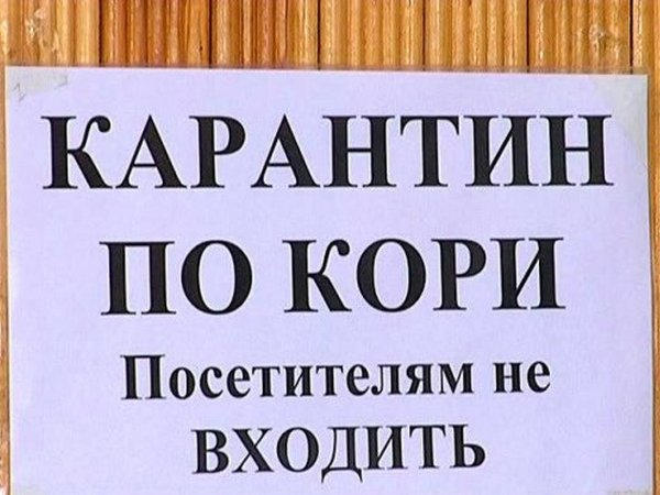 В больнице Покровска ввели карантин из-за вспышки кори