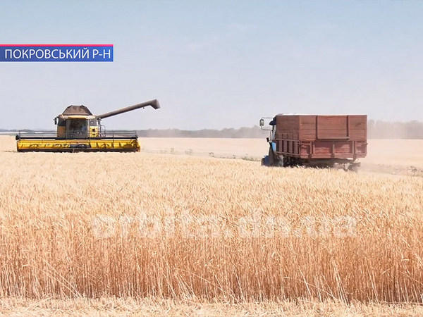 Как в Покровском районе проходит сбор урожая зерновых культур