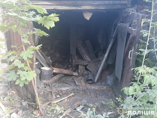 Из-за неосторожного обращения с огнем в Новогродовке сгорели две хозпостройки и гараж