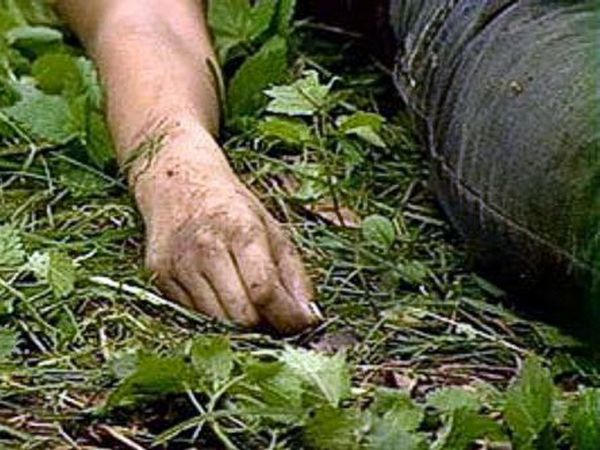 Мужчина, который пропал накануне в Мирнограде, найден мертвым в лесополосе
