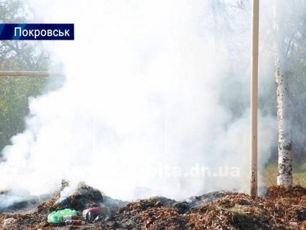 Весь Покровск затянут дымом: можно ли побороть опасную традицию сжигания листьев?