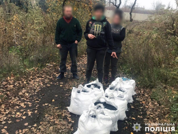 В Покровске полицейские задержали женщину, которая воровала уголь