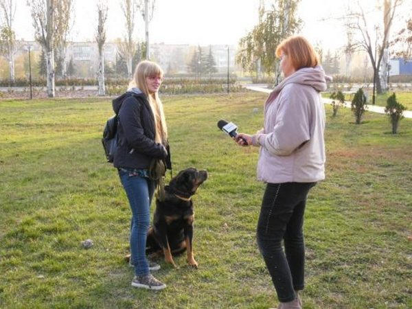 Готовы ли жители Покровска убирать за своими собаками