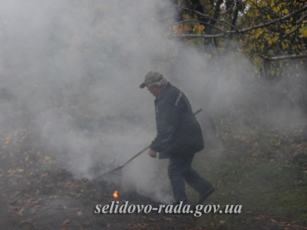 Как в Селидово борются со сжиганием листьев