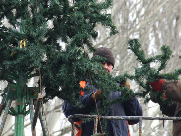 Из бюджета Покровска потратят 1 миллион гривен на новую новогоднюю елку