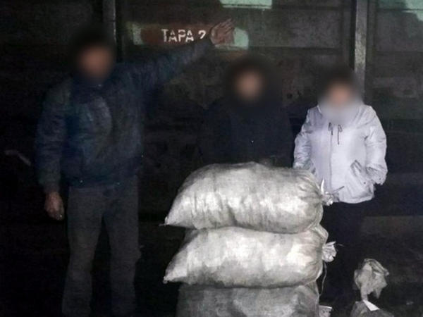 Жителя Новогродовки задержали во время совершения кражи