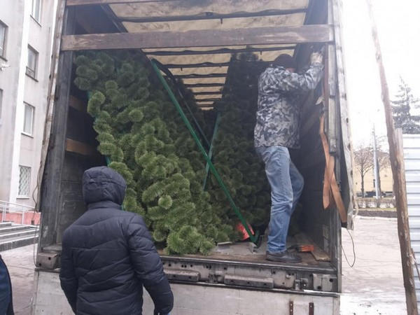 В Покровск доставили главную новогоднюю елку