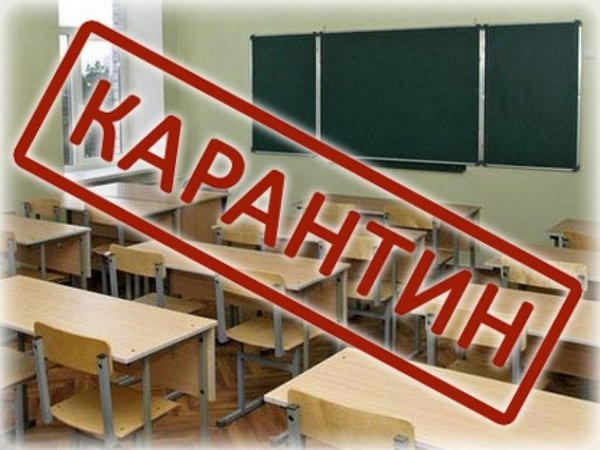 Школы в Новогродовке закрыли на карантин