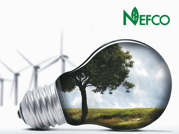 НЕФКО планирует реализовать проекты по энергоэффективности в Селидово и Новогродовке