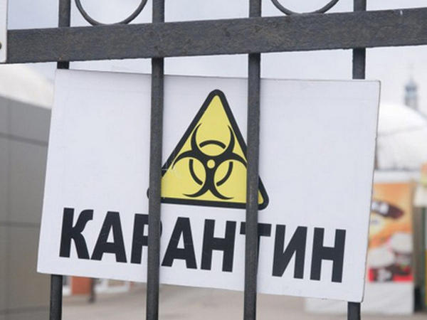 Донецкая область пока не будет смягчать карантин