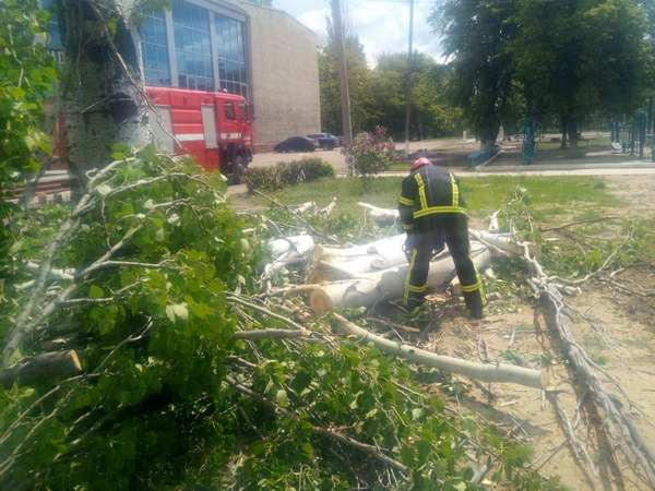В Селидово спасатели спилили аварийные деревья, которые угрожали прохожим
