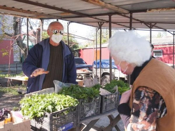 Огородный сезон в разгаре: сколько стоит рассада на рынках Покровска?
