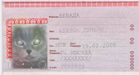 Паспорт для донецких котов обойдется в 150 гривен