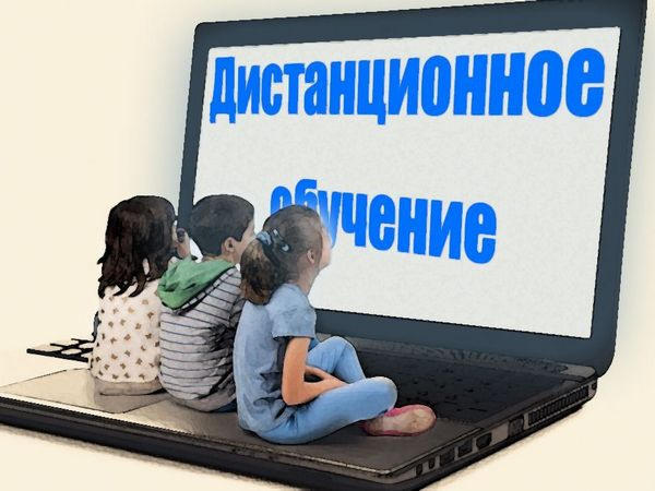 В Покровске несколько школ перешли на дистанционное обучение