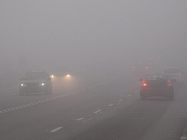 В Донецкой области ожидается туман