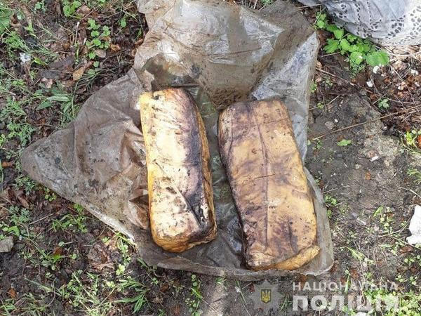 В Покровском районе обнаружили тайник с 20 килограммами пластида