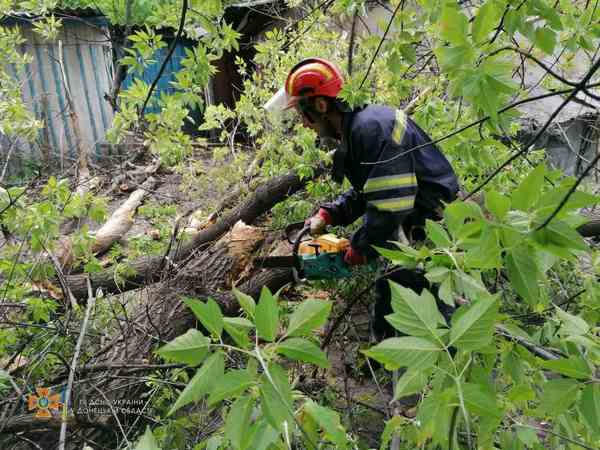 В Новогродовке дерево упало на линию электропередач
