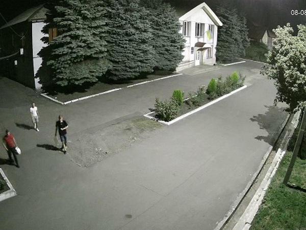 В Новогродовке камеры видеонаблюдения помогли разыскать вандалов