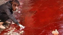Какова судьба кровавой реки в Селидово (+ видео)